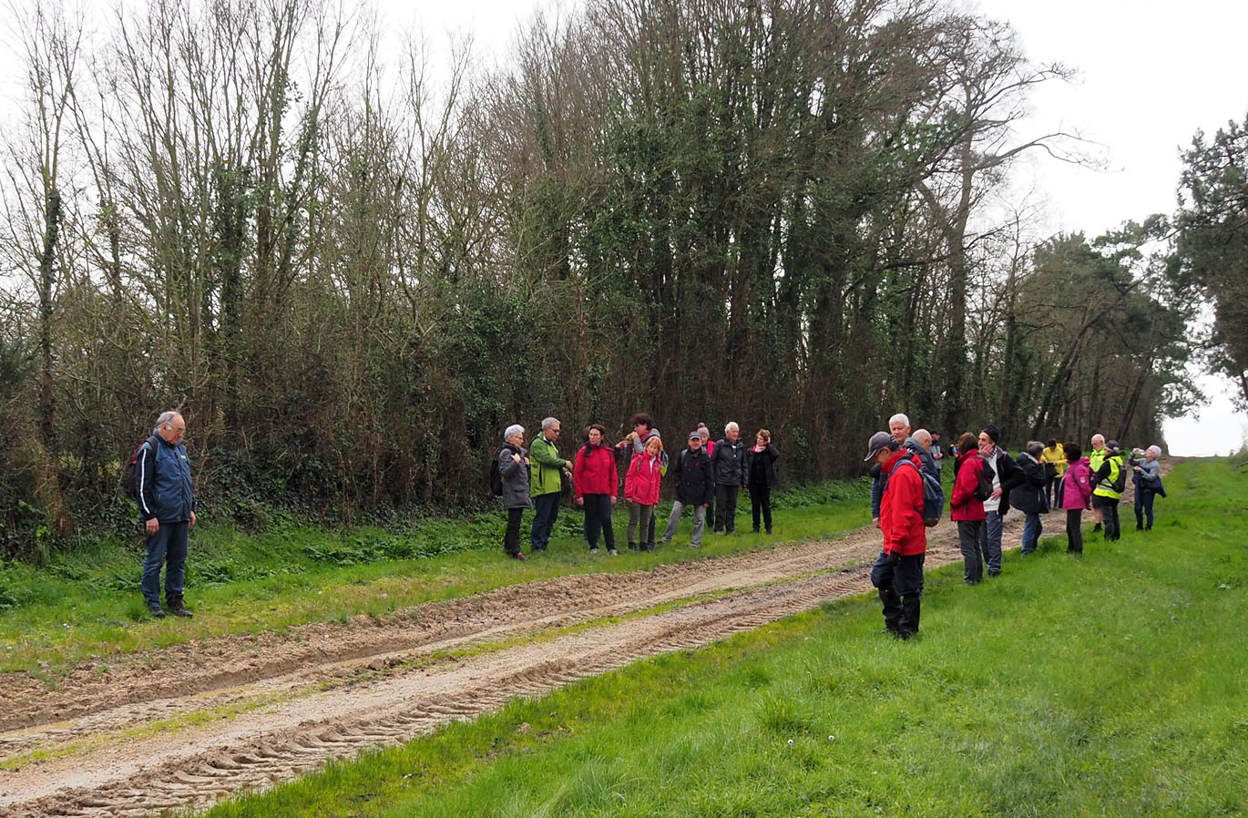 Marche rando Givrand – 20 Février 2020